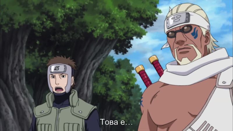 Naruto Shippuden ep 251 [BG Subs]